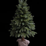 715002-1-dakota-vianocny-stromcek-na-pniku-120cm.jpg