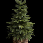715023-1-dakota-vianocny-stromcek-v-drevenom-boxe-90cm.jpg