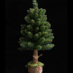 715028-1-nebraska-vianocny-stromcek-na-pniku-60cm.jpg